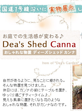 ł̐ς-Dea's Shed Canna- by Dea's Garden